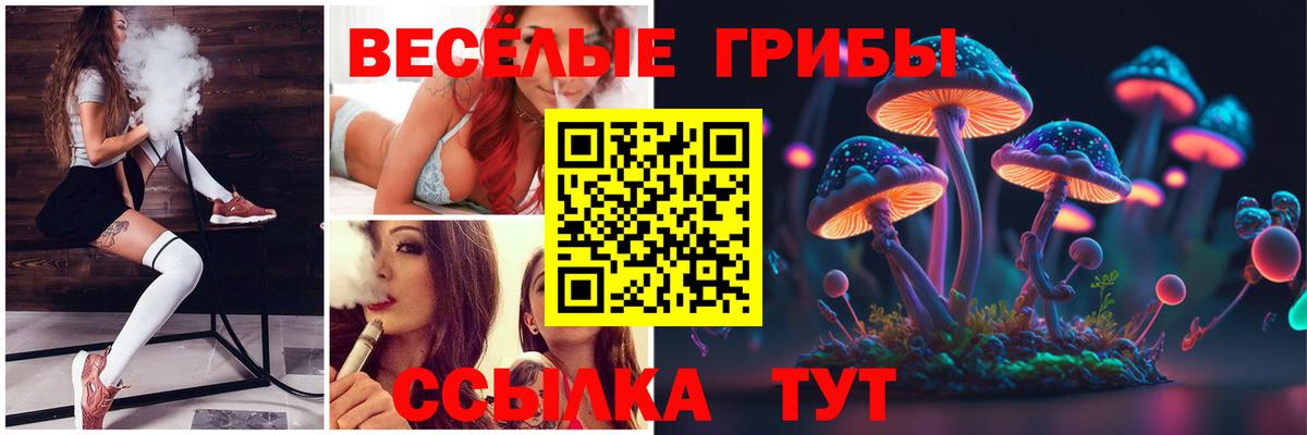 Псилоцибиновые грибы MAGIC MUSHROOMS Томск