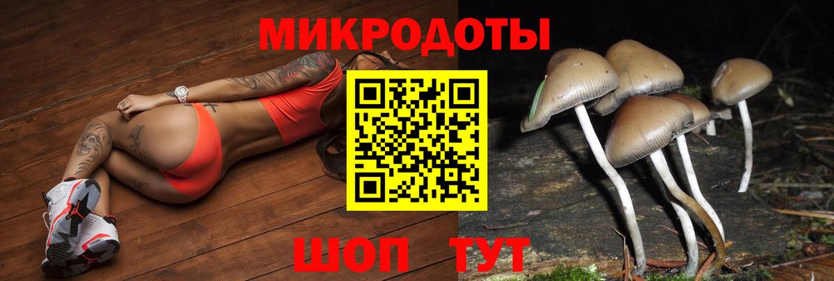 Томск  Галлюциногенные грибы Magic Shrooms  Вход с VPN 